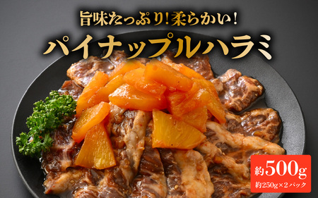 pCibvn~i250×2pbN v500gj [A-066045] /   n~ _ pCibv _ Ђ }Ⓚ ē BBQ s 