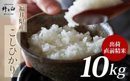 ߘa7NY 䌧Y Ђ 10kg [B-150004] / V    R RVqJ ߘaN 7N N Yn _ƒ