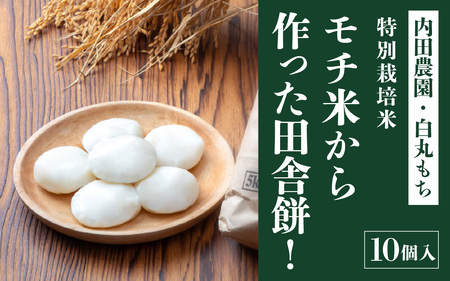 `Ăcɖ݁I10 s[_@ [A-168005] /  ^`E` `  ` RV S Y  G 񂴂 ܂ ۖ  N Nn     