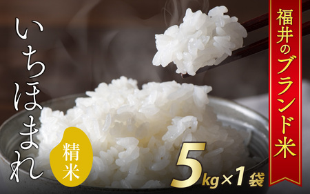 [12/25入金確定分まで年内発送]令和7年産 新米 福井県産いちほまれ 5kg [A-030009] / ブランド ブランド米 米 お米 コメ いちほまれ 送料無料 数量限定 在庫あり 5kg おすすめ 福井 令和7年 新米 精米 単一原料 訳あり 年内発送 配送 お届け