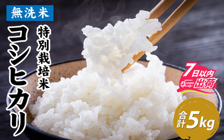 令和7年産[無洗米]特別栽培米 福井県産コシヒカリ 5kg [A-020031] / 無洗米