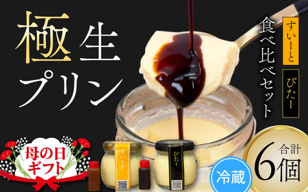 [先行予約 母の日]福井極生プリン すいーと びたー食べ比べセット[6個入り] [A-208001_sp] / プリン