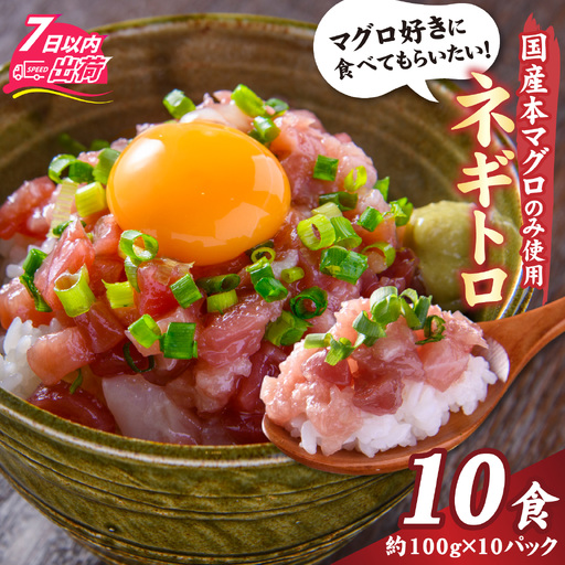 [ねぎとろ]国産本マグロのみを使用した ねぎとろ 10パック [C-066048]