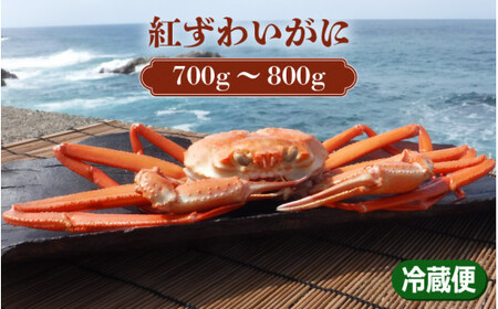 [076-d001] 紅ズワイ蟹(ゆでがに)茹で前 約700g〜800g