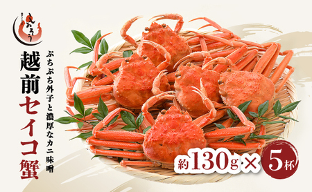 [053-a050] [先行予約][ 期間限定・数量限定 ] 越前 セイコ蟹 約130g × 5杯 セット[冷蔵][敦賀 塩荘 しおそう 越前ガニ せいこ蟹 カニみそ お取り寄せ]