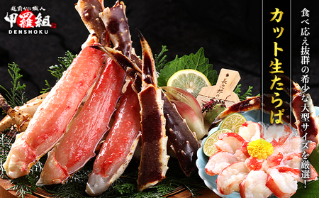 [順次発送][お刺身OK]特大カット生たらば 総重量1kg /解凍後800g[甲羅組 蟹 カニ 魚介類 魚貝類][024-b033][敦賀市ふるさと納税]