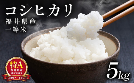 米 福井県産 コシヒカリ 一等米 5kg [米 福井県産 コシヒカリ 5kg 10kg 一等米 ブランド米 白米 精米 玄米 無洗米 ご飯 ごはん 米 コメ こめ お米 小分け 家庭用 ふるさと納税米 こしひかり][101-a001]