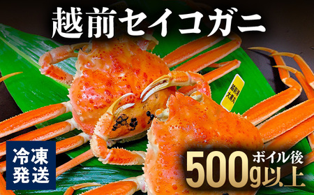越前セイコガニ ボイル後500g以上 (ボイル前600g前後) 冷凍 お届け時期:11月10日以降順次発送[マイマルシェ 敦賀 越前蟹 カニ 蟹 セイコガニ 海鮮 かに鍋 かにしゃぶ NEW 新規][090-a017]