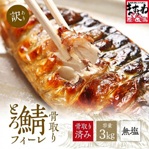 訳あり 骨取り サバ 切り身 (無塩) 3kg [001-c322]