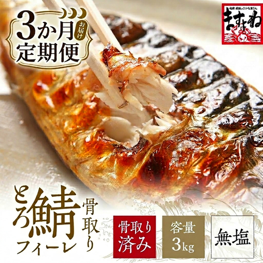 訳あり 骨取り サバ 切り身 (無塩) 3kg [定期便3ヶ月] [001-t3-c322_(20)]