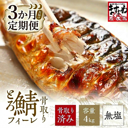 訳あり 骨取り サバ 切り身 (無塩) 4kg [定期便3ヶ月] [001-t3-c422_(20)]