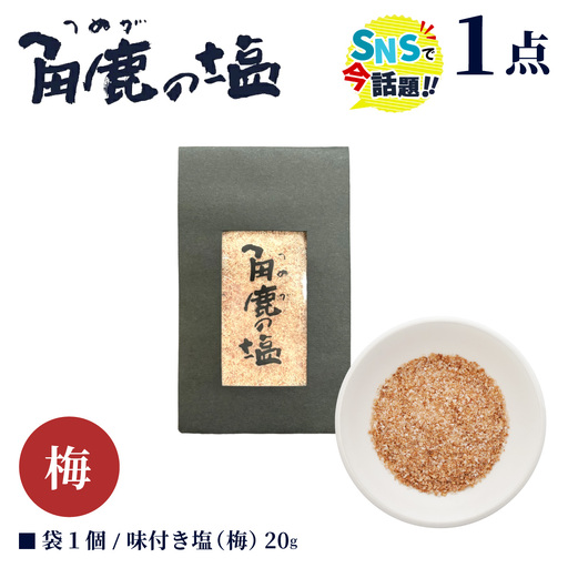 福井梅をたっぷり使用!角鹿の塩 小袋 20g [080-a009]