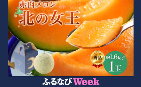 [ふるなびWEEK対象][2026年夏発送]北海道 赤肉メロン 北の女王 秀品 約1.6kg×1玉 令和8年 メロン 果物 フルーツ 旬 季節 希少 貴重 甘い 豊潤 国産 デザート ご褒美 産地直送 ギフト お祝い 贈答品 贈り物 お中元 常温 お取り寄せ 送料無料 FN-Limited-PR