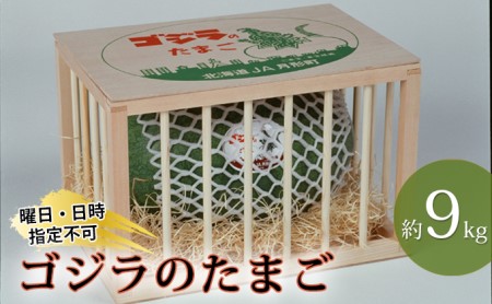 北海道月形町産ゴジラのたまご(木箱入り)約9kg(1玉入り)