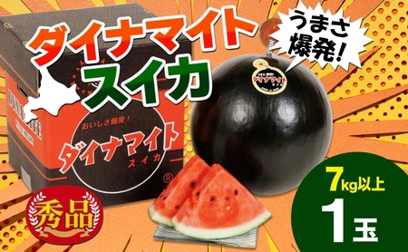 [2025年夏発送]北海道 ダイナマイトスイカ 秀品 1玉 約7kg以上 令和7年 スイカ すいか 西瓜 黒皮 黒スイカ 果物 フルーツ 旬 希少 貴重 甘い 国産 産地直送 ギフト お祝い 贈答品 贈り物 日持ち 常温 お取り寄せ 送料無料