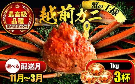 ys\/117菇z y]wz zO 1kg×3nC / I YCKj 킢 {C ① ls / ܂ُX yzsnFkCEEz[BFCS032]