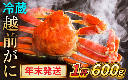 [年末発送][先行予約]越前がに 600g×1ハイ[2024年12月25〜29日順次発送]