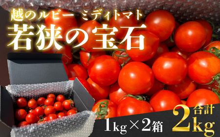 越のルビー「若狭の宝石」ミディトマト 1kg×2箱 計2kg