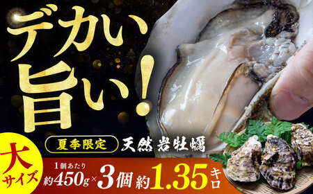 [先行予約/6月下旬より順次発送]若狭湾 生食用 天然岩牡蠣 大3個(軍手、牡蠣ナイフ付き) 小浜市 / 加福鮮魚[配送不可地域:北海道・沖縄・離島] [BFBC008]