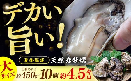 ys\ / 2026N6{菇z ዷp Hp VR≲y 10iRAyiCttj ls / NyzsnFkCEEz [BFBC010]