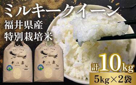 【 先行予約 /11月以降発送】 【令和7年産】 特別栽培米 福井県産 ミルキークイーン 5kg×2袋 計10kg / お米 白米 ブランド米 小浜市 / 今富の宝 [BFCI004]