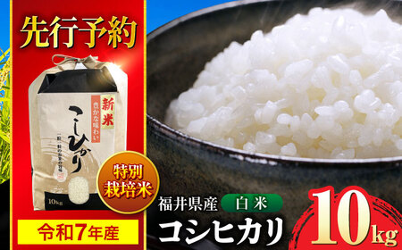 y s\ /9{ȍ~z@yߘa7NYz 䌧Y ʍ͔|4 RVqJ  10kg /    Y / ls / k씎i[BFDG002]