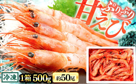 日本海 甘えび 500g (約50尾)×1箱 / 冷凍 あまえび アマエビ 甘エビ 福井県 小浜市 / 小浜海産物 &nbsp;[配送不可地域:北海道・沖縄・離島] [BFAA082]