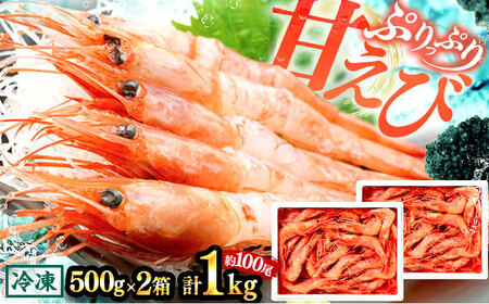 日本海 甘えび 500g (約50尾)×2箱 / エビ 甘エビ えび エビ 福井県 小浜市 / 小浜海産物 [配送不可地域:北海道・沖縄・離島] [BFAA083]