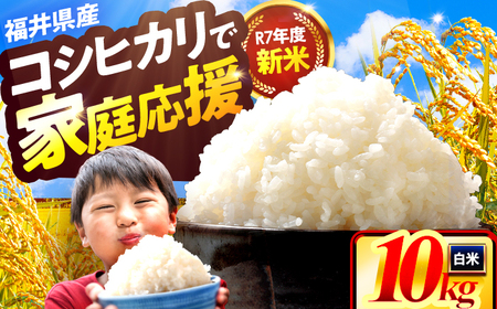 RVqJ  10kg lsY Ђ [BEEK001]