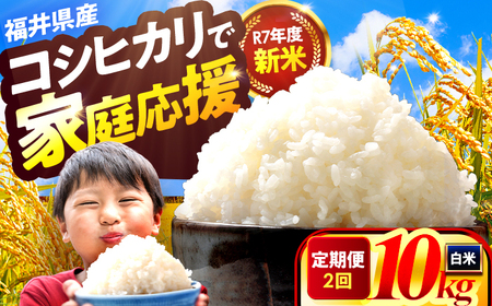 y2AzlsYRVqJ  10kg ዷ̎RĂ͂ Y 䌧 /  V n斧 Ė≮ ls / ~cčX[BFEK014]