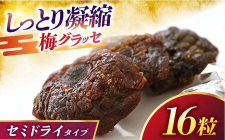 うめグラッセ セミドライ 16粒入 紅映梅使用 / 梅 ウメ 甘酸っぱい 梅スイーツ 小浜市 / アップ・トゥ・ユウ[BFAU006]
