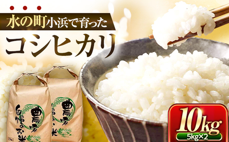 小浜のコシヒカリ 10kg(5kg×2袋)/ 白米 精米 国産米 福井県 小浜市 / 市左ヱ門米屋[BFEN001]