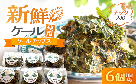 ケールチップス CafeSeasons 手作り 国産ケール使用 カシューナッツとスパイス仕立て / ヘルシー おやつ プラントベース おつまみ 小浜市 / Cafe Seasons[BFCC011]