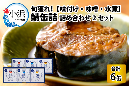 旬獲れ 鯖缶詰 3ヶ詰め合わせ（味付・味噌・水煮） 90g × 6缶 ｜ 鯖 サバ さば 鯖缶 サバ缶 さば缶 鯖缶詰 サバ缶詰 さば缶詰 保存食 常備食 非常食 備蓄 災害対策 水煮 味噌煮 本醸造醤油仕立て おつまみ お歳暮 [BFAA055]