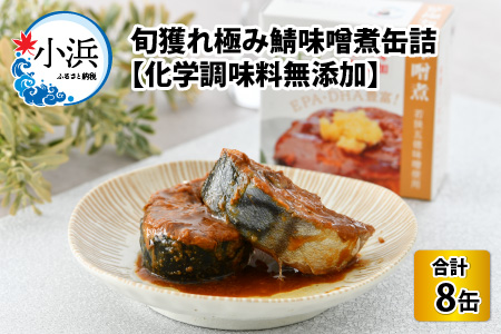 旬獲れ極み鯖味噌煮缶詰 8缶 サバ缶 おつまみ 保存食 [A-003059]