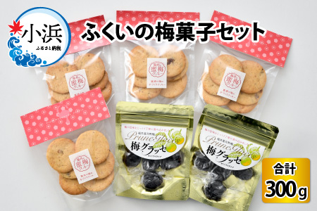 ふくいの梅菓子セット(福井の蜜梅クッキーと梅グラッセセミドライタイプ) 国産 洋菓子 ギフト [A-024003]