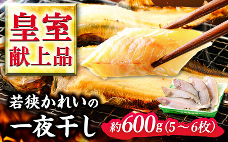 Y ዷꂢ̈銱 600g iMVJC [D-007006] [BFAE023] yzsnFkCEEz