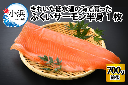 国産 ふくいサーモン 半身1枚 700g 刺身 サケ 鮭 [A-001018]