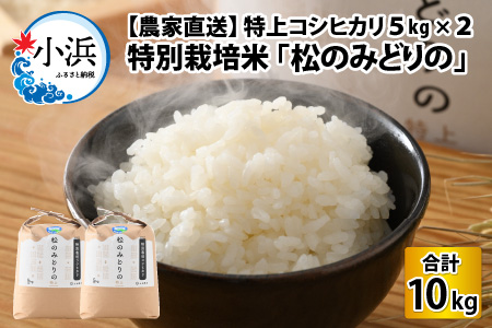 [先行予約][農家直送]新米 特上コシヒカリ5kg×2袋 令和6年産新米 特別栽培米 福井県小浜市「松のみどりの」[2024年10月より順次発送][A-016019]