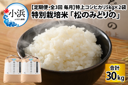 [定期便・全3回(毎月)]特上コシヒカリ5kg×2袋 令和5年産 特別栽培米 福井県小浜市「松のみどりの」[D-016005]