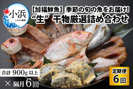 『定期便』全6回(隔月発送)【加福鮮魚】 季節の旬の魚をお届け！