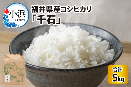 【令和5年産】福井県産コシヒカリ「千石」 5kg[Y-079001]