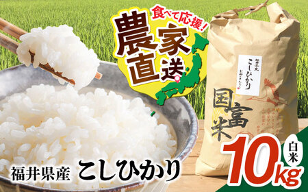 【令和7年度産】福井県産 こしひかり 白米 10kg / 米 白米 精米 小浜市 / お米のきたろう [BFBW001] 