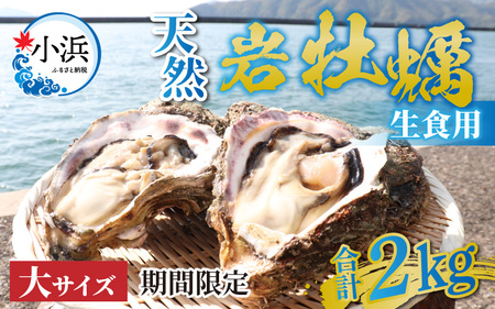 【期間限定】若狭の天然岩牡蠣（生食用）2kg 6?8個入り [A-012025]