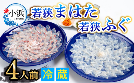 [着日指定] [冷蔵でお届け] 「若狭ふぐのてっさ」 と 「若狭まはたのお刺身」 セット [4人前] [F-005003]