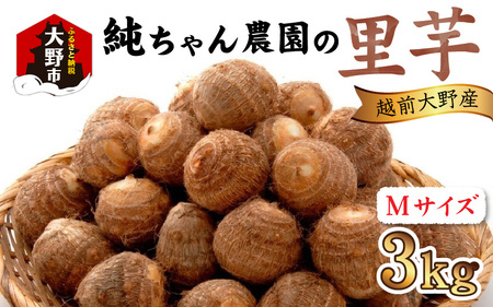 越前大野産 「純ちゃん農園の里芋 3kg」サイズM寸