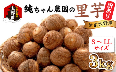 【先行予約】【訳あり】越前大野産 「純ちゃん農園の里芋3kg」サイズS～LL寸【10月中旬より順次発送】