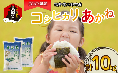 [先行予約][令和6年産 新米]福井県大野市産 JGAP認証 コシヒカリ「あかね」(白米)5kg×2袋 計10kg