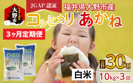 [先行予約][令和6年産 新米][3ヶ月定期便]福井県大野市産 JGAP認証 コシヒカリ「あかね」(白米)5kg×2袋=10kg×3回 計30kg