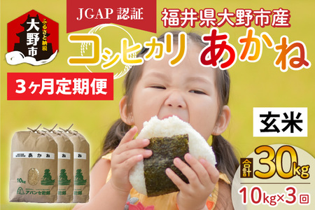 [先行予約][令和6年産 新米][3ヶ月定期便]福井県大野市産 JGAP認証 コシヒカリ「あかね」(玄米)10kg×3回 計30kg